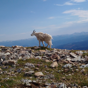 Quandary Peak (21).jpg